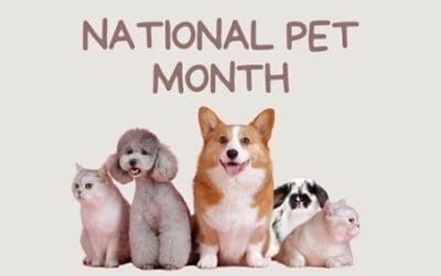 National Pet Month